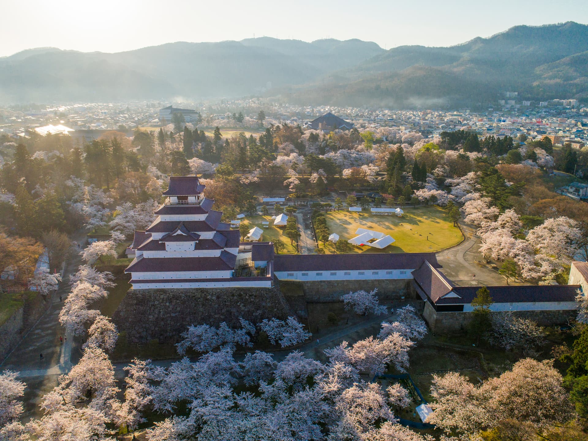 Cherry blossom at Tsuruga Castle, Aizu-Wakamatsu, Fukushima